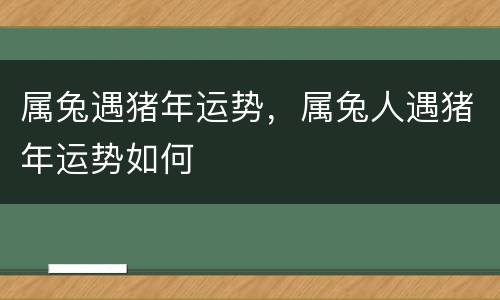 属兔遇猪年运势，属兔人遇猪年运势如何