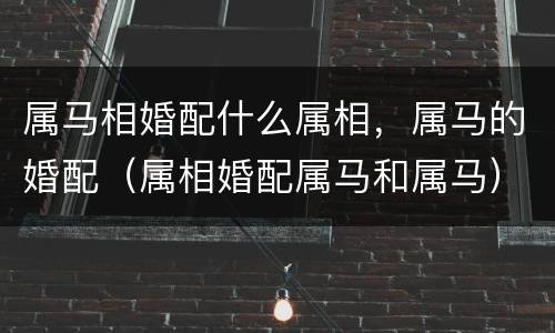 属马相婚配什么属相，属马的婚配（属相婚配属马和属马）