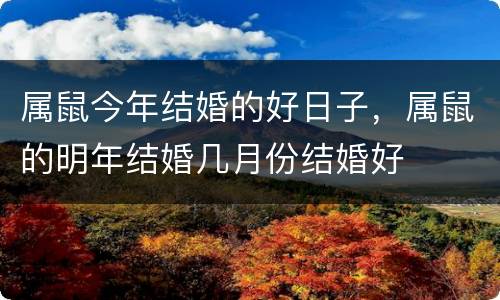 属鼠今年结婚的好日子，属鼠的明年结婚几月份结婚好