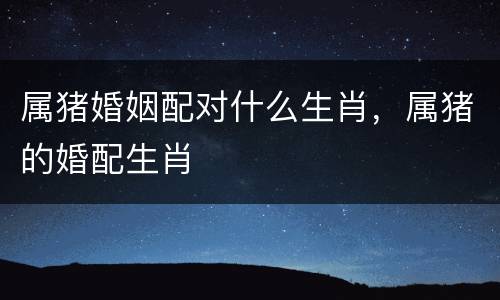 属猪婚姻配对什么生肖，属猪的婚配生肖