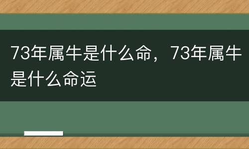 73年属牛是什么命，73年属牛是什么命运