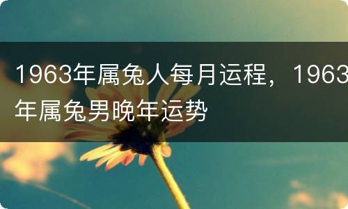 1963年属兔人每月运程，1963年属兔男晚年运势