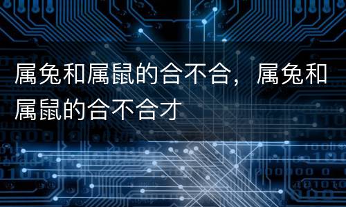 属兔和属鼠的合不合，属兔和属鼠的合不合才