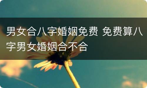 男女合八字婚姻免费 免费算八字男女婚姻合不合