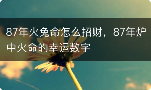 87年火兔命怎么招财，87年炉中火命的幸运数字