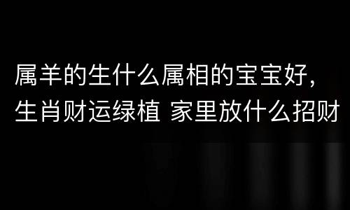 属羊的生什么属相的宝宝好，生肖财运绿植 家里放什么招财运好植