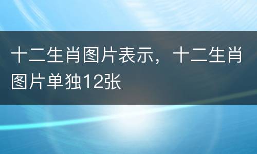 十二生肖图片表示，十二生肖图片单独12张