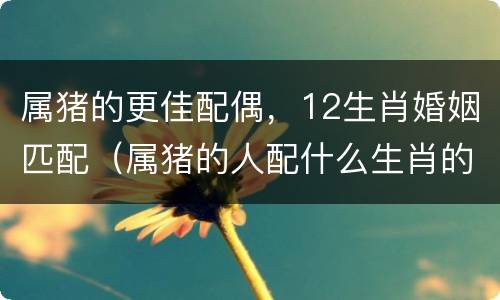属猪的更佳配偶，12生肖婚姻匹配（属猪的人配什么生肖的婚姻最好）
