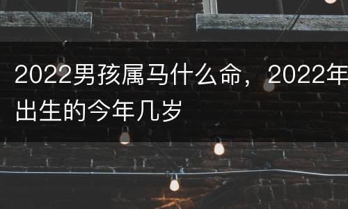 2022男孩属马什么命，2022年出生的今年几岁