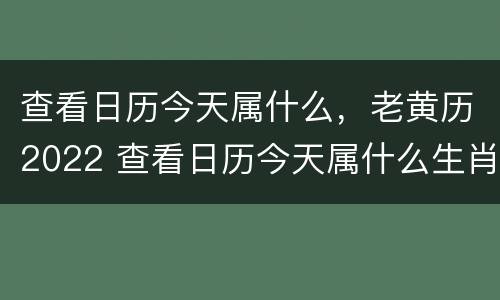 查看日历今天属什么，老黄历2022 查看日历今天属什么生肖2021