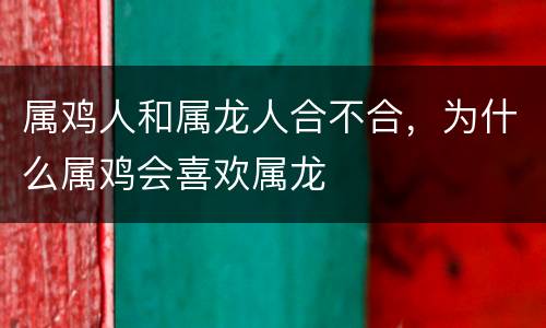 属鸡人和属龙人合不合，为什么属鸡会喜欢属龙