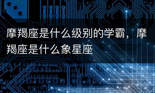 摩羯座是什么级别的学霸，摩羯座是什么象星座