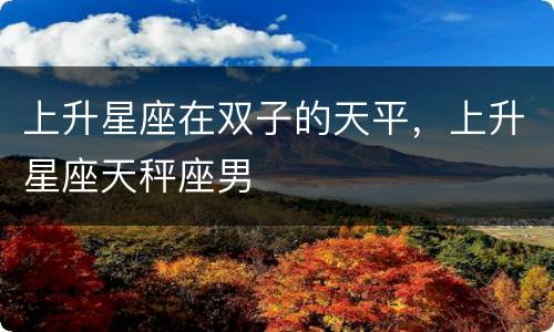 上升星座在双子的天平，上升星座天秤座男