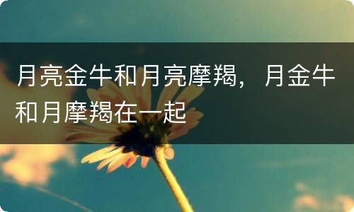 月亮金牛和月亮摩羯，月金牛和月摩羯在一起
