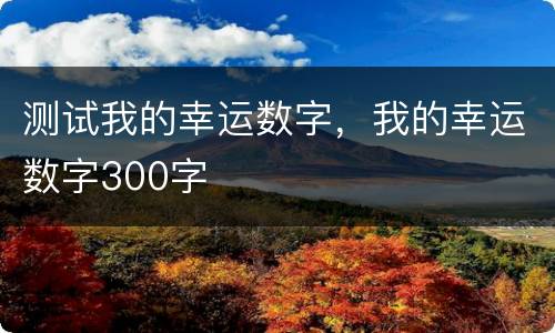 测试我的幸运数字，我的幸运数字300字