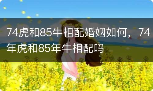 74虎和85牛相配婚姻如何，74年虎和85年牛相配吗