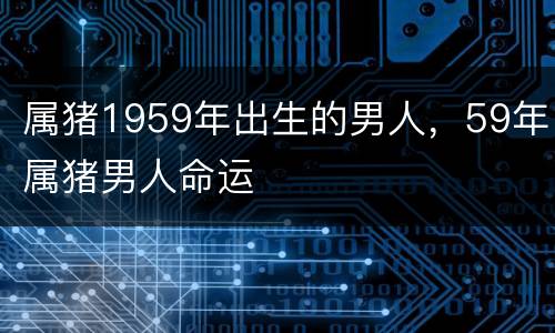 属猪1959年出生的男人，59年属猪男人命运