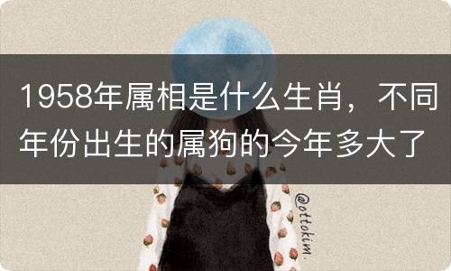 1958年属相是什么生肖，不同年份出生的属狗的今年多大了，按