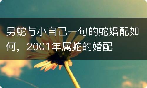 男蛇与小自己一旬的蛇婚配如何，2001年属蛇的婚配