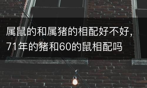 属鼠的和属猪的相配好不好，71年的猪和60的鼠相配吗