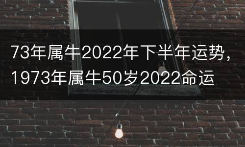 73年属牛2022年下半年运势，1973年属牛50岁2022命运