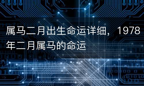 属马二月出生命运详细，1978年二月属马的命运