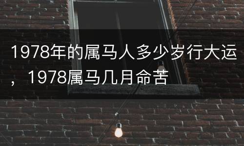 1978年的属马人多少岁行大运，1978属马几月命苦