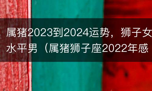 属猪2023到2024运势，狮子女水平男（属猪狮子座2022年感情运势）