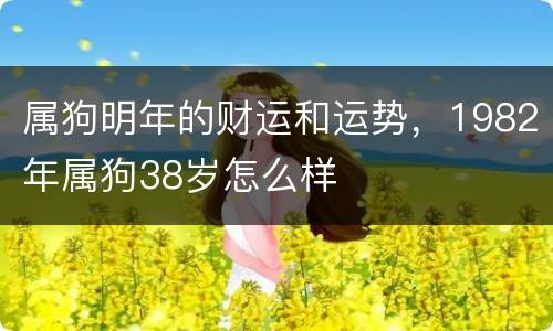 属狗明年的财运和运势，1982年属狗38岁怎么样