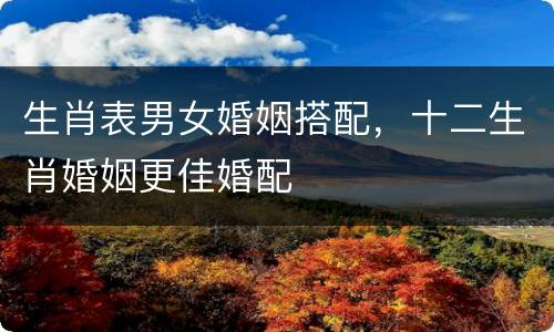 生肖表男女婚姻搭配，十二生肖婚姻更佳婚配