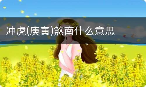 冲虎(庚寅)煞南什么意思