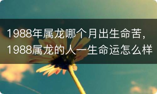 1988年属龙哪个月出生命苦，1988属龙的人一生命运怎么样