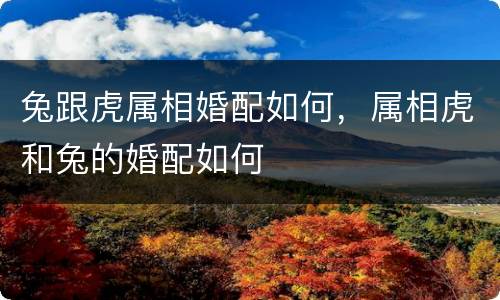 兔跟虎属相婚配如何，属相虎和兔的婚配如何