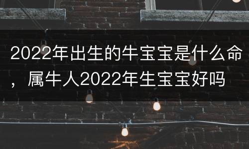 2022年出生的牛宝宝是什么命，属牛人2022年生宝宝好吗