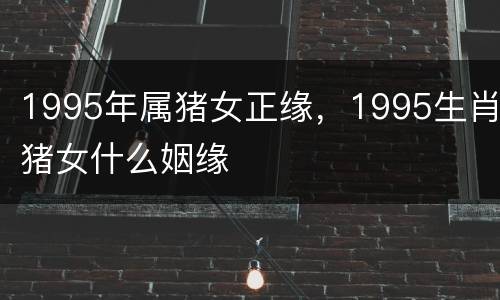 1995年属猪女正缘，1995生肖猪女什么姻缘