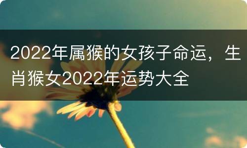 2022年属猴的女孩子命运，生肖猴女2022年运势大全