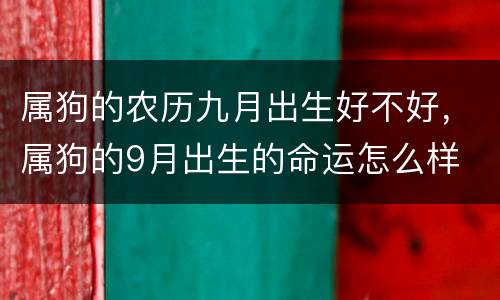 属狗的农历九月出生好不好，属狗的9月出生的命运怎么样