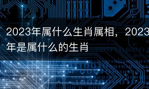 2023年属什么生肖属相，2023年是属什么的生肖