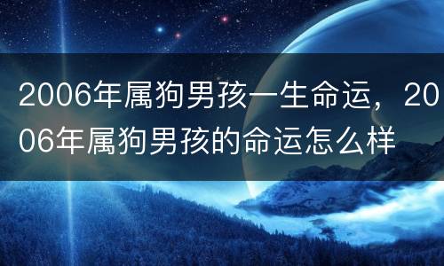 2006年属狗男孩一生命运，2006年属狗男孩的命运怎么样