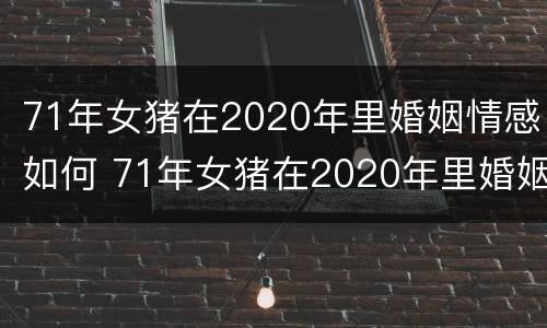 71年女猪在2020年里婚姻情感如何 71年女猪在2020年里婚姻情感如何呢