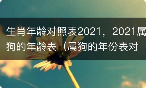 生肖年龄对照表2021，2021属狗的年龄表（属狗的年份表对年龄2021年）