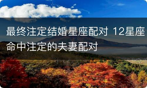 最终注定结婚星座配对 12星座命中注定的夫妻配对