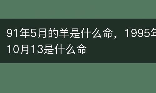 91年5月的羊是什么命，1995年10月13是什么命