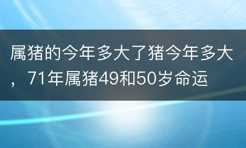 属猪的今年多大了猪今年多大，71年属猪49和50岁命运