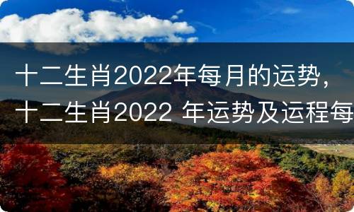 十二生肖2022年每月的运势，十二生肖2022 年运势及运程每月运程