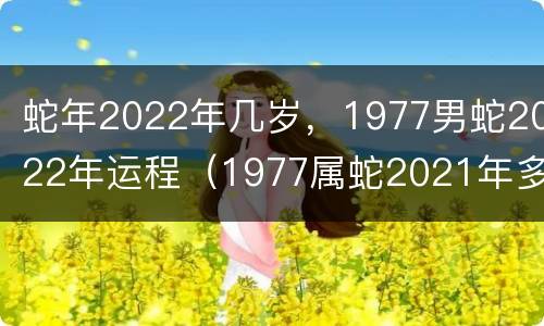 蛇年2022年几岁，1977男蛇2022年运程（1977属蛇2021年多少岁）