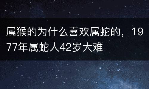 属猴的为什么喜欢属蛇的，1977年属蛇人42岁大难