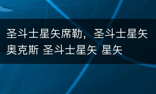圣斗士星矢席勒，圣斗士星矢奥克斯 圣斗士星矢 星矢