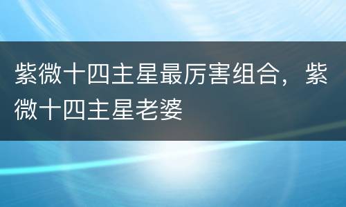 紫微十四主星最厉害组合，紫微十四主星老婆
