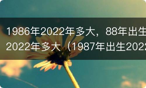 1986年2022年多大，88年出生2022年多大（1987年出生2022年多大）